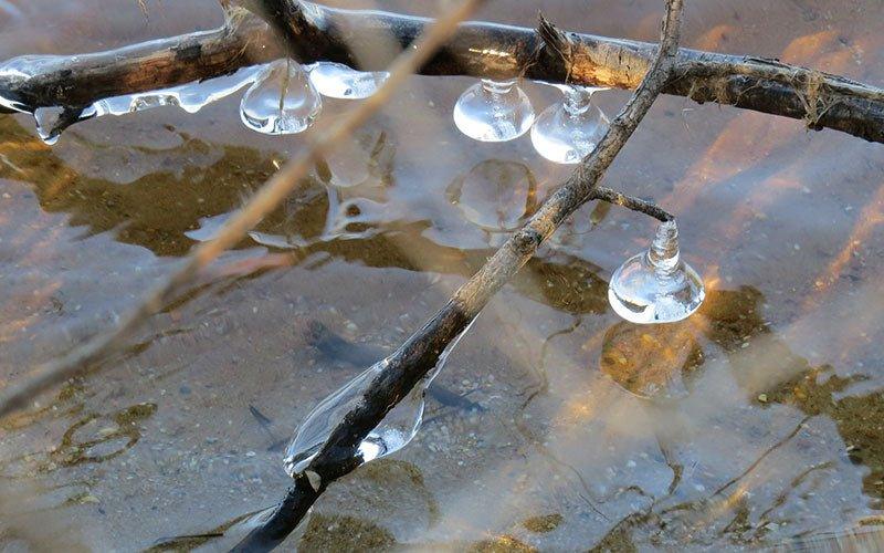 4 Ways to Protect Your Pond in Winter - AllPondSolutions