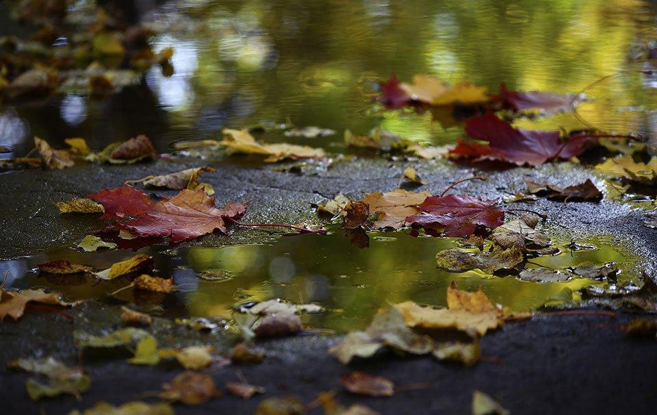 8 Pond Products You Need for the Changing Seasons - AllPondSolutions