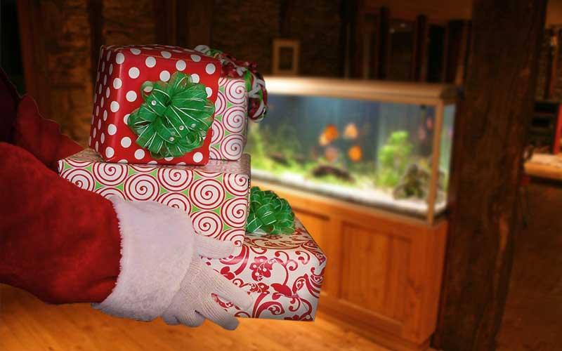 Best Christmas Gifts For Aquarium Lovers - AllPondSolutions
