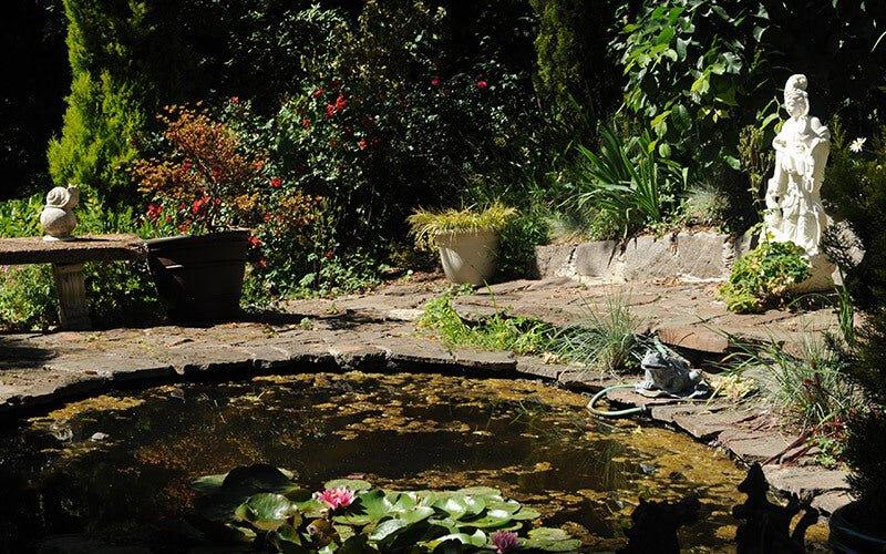 Building a Pond Without a Pond Liner - AllPondSolutions