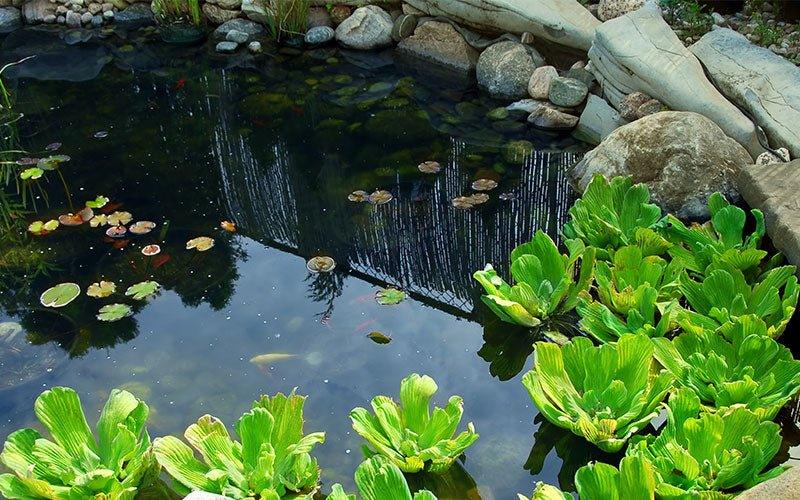 Choosing The Best Pond Liner - AllPondSolutions