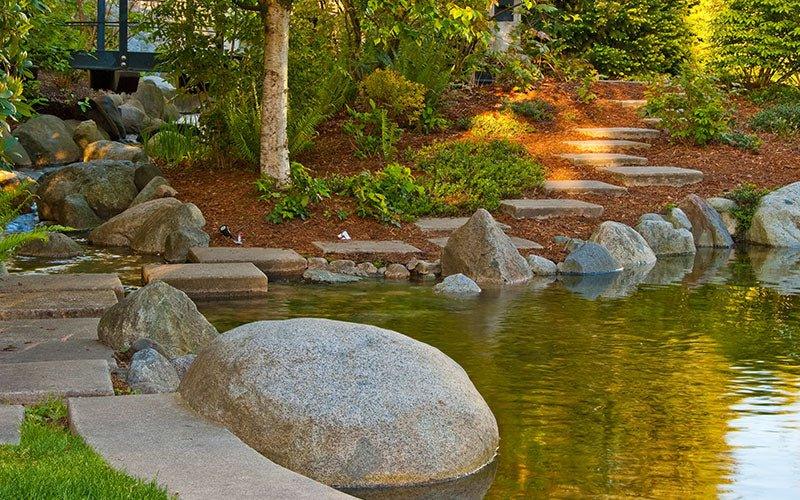 Green Pond Water Vs Clear Pond Water - AllPondSolutions