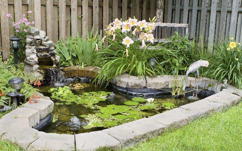 How Deep Should a Pond Be? - AllPondSolutions