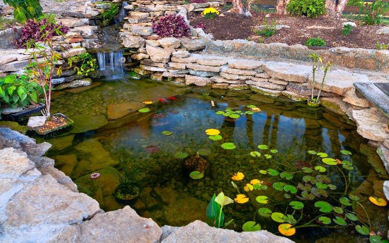 How Do I Clean a Pond Without Draining It? - AllPondSolutions