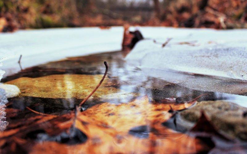 How To Prepare Your Pond For Winter - AllPondSolutions