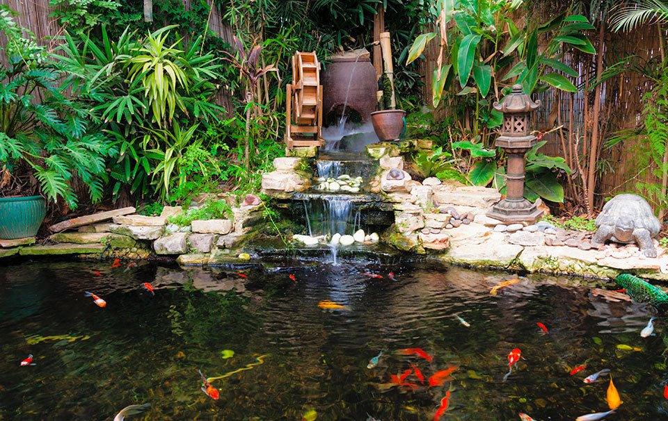 How to Spring Clean Your Pond - AllPondSolutions