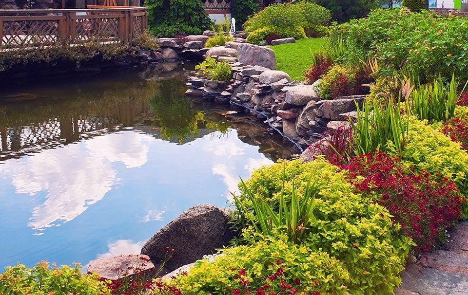 Adding Pond Salt to Your Koi Pond AllPondSolutions