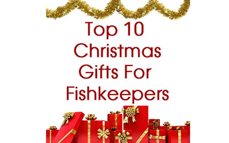 Top 10 Christmas Gifts for Fishkeepers - AllPondSolutions
