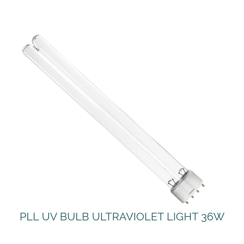 AllPondSolutions 36w PLL UV Bulb / 4 Pin Lamp - Pond/Aquarium