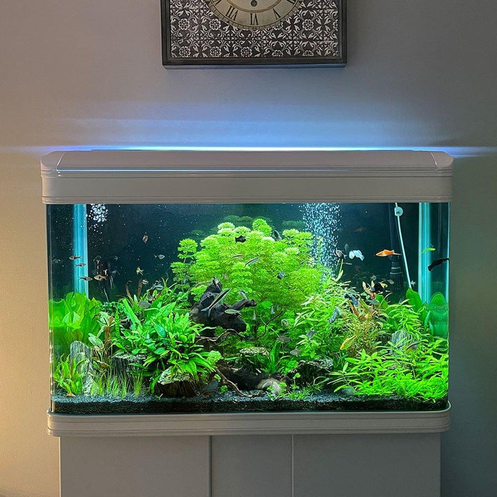 250L Cabinet Fish Tank (107cm 3.6ft) 2 Colours - AllPondSolutions