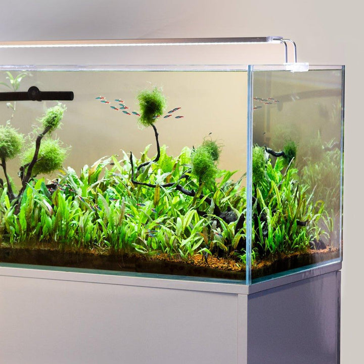Tropical / Cold Water Aquarium LED Lights 310-1150mm - AllPondSolutions