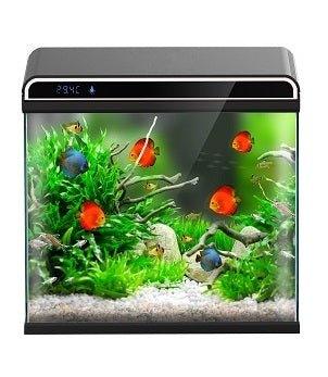 Ultra Clear Glass Nano LED Light Fish Tank - 12L - Black - AllPondSolutions