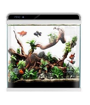 Ultra Clear Glass Nano LED Light Fish Tank - 12L - White - AllPondSolutions