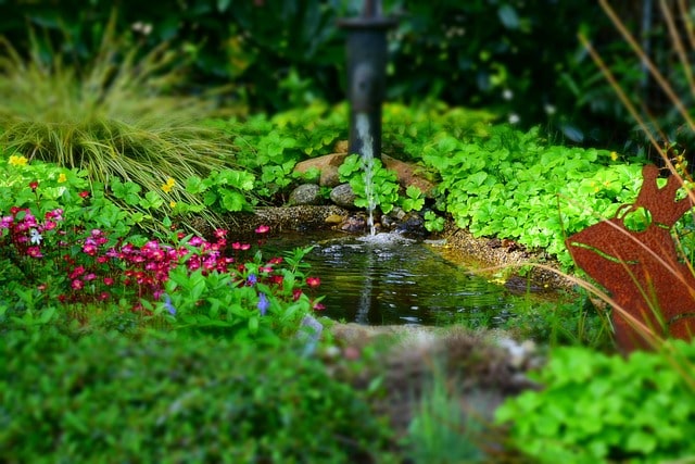 Earth Day and Your Garden Pond
