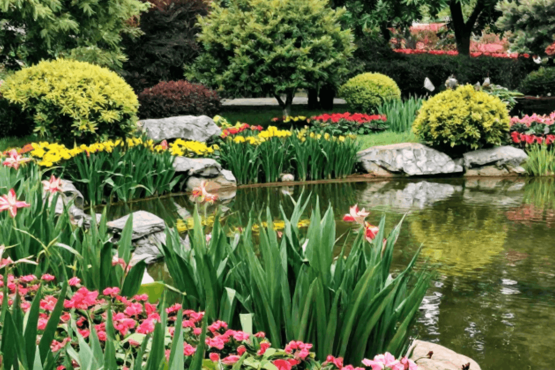 External Pond Pump Maintenance & Troubleshooting: Keep Water Flow Strong and Reliable