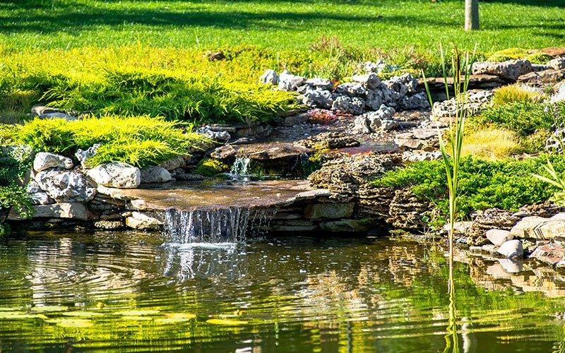 A Stress Free Guide to Fish Pond Maintenance - AllPondSolutions