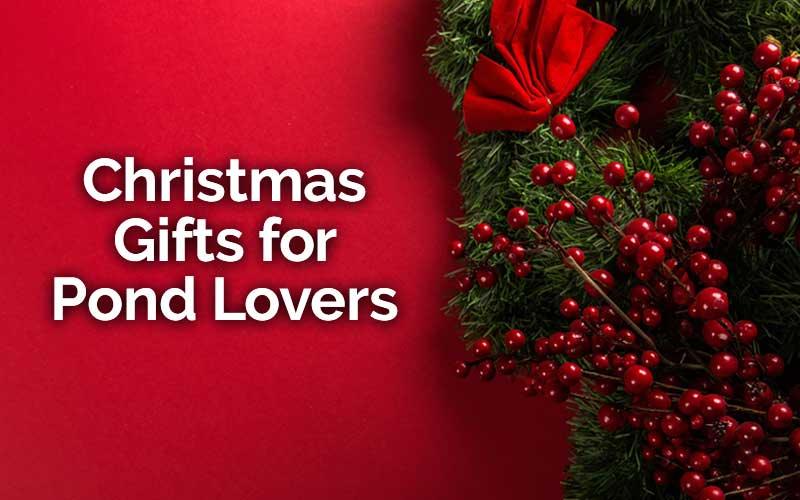 Best Christmas Gifts for Pond Lovers - AllPondSolutions