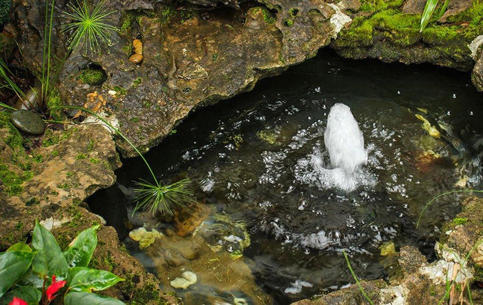 Best pond pumps for your garden pond
