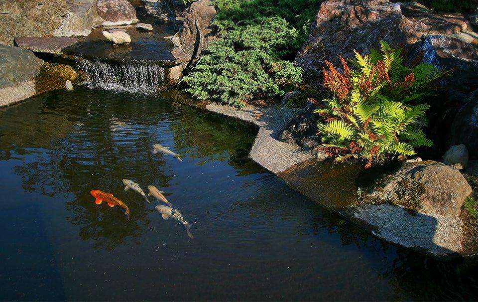Calculating the Size of Your Pond Liner - AllPondSolutions
