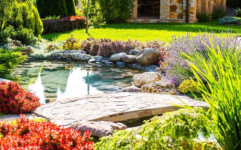 Essential Pond Maintenance For Autumn - AllPondSolutions