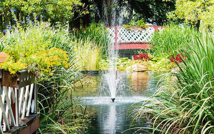 How to Install a Pond Pump