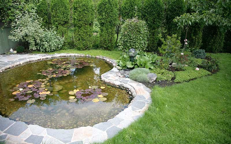 How to set up a pond and things to think about before starting ...