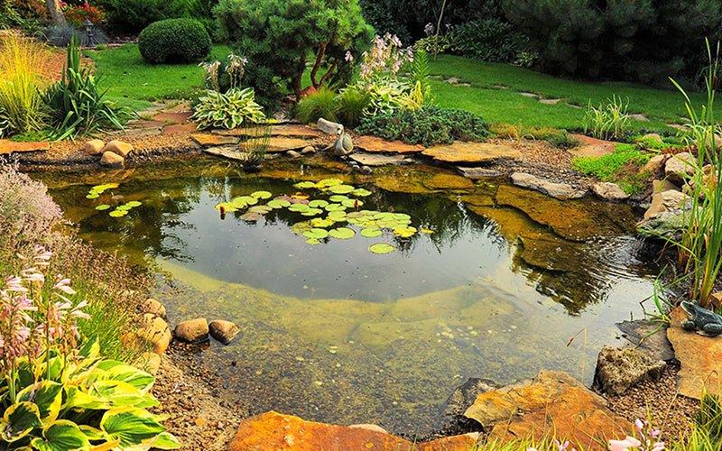 Pond Maintenance To Prepare For Summer - AllPondSolutions