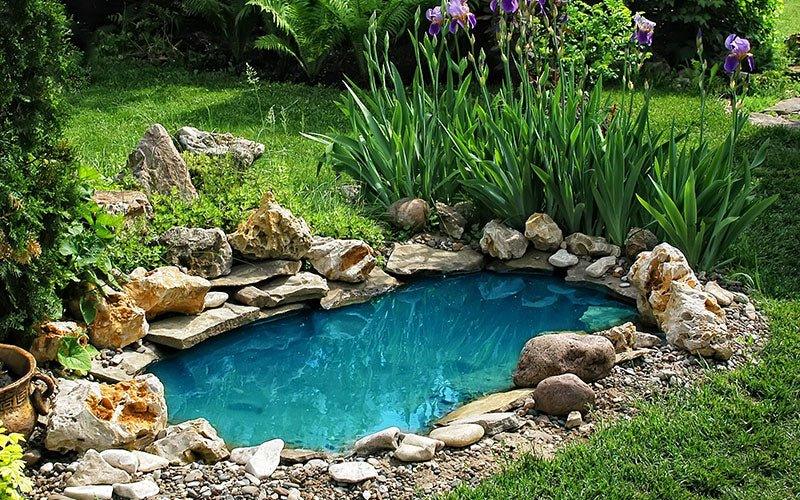 Pond Pump Troubleshooting Guide - AllPondSolutions