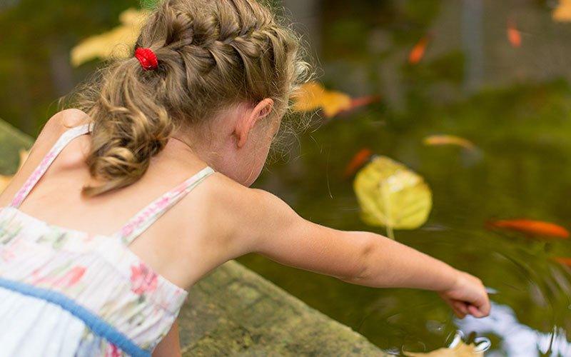 Pond Safety 101 - AllPondSolutions