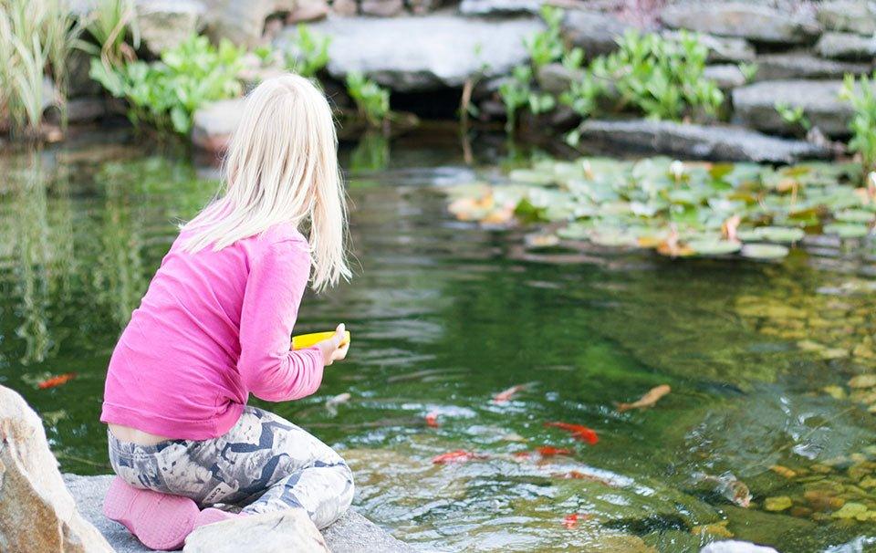 Pond Safety and Fun for Kids - AllPondSolutions
