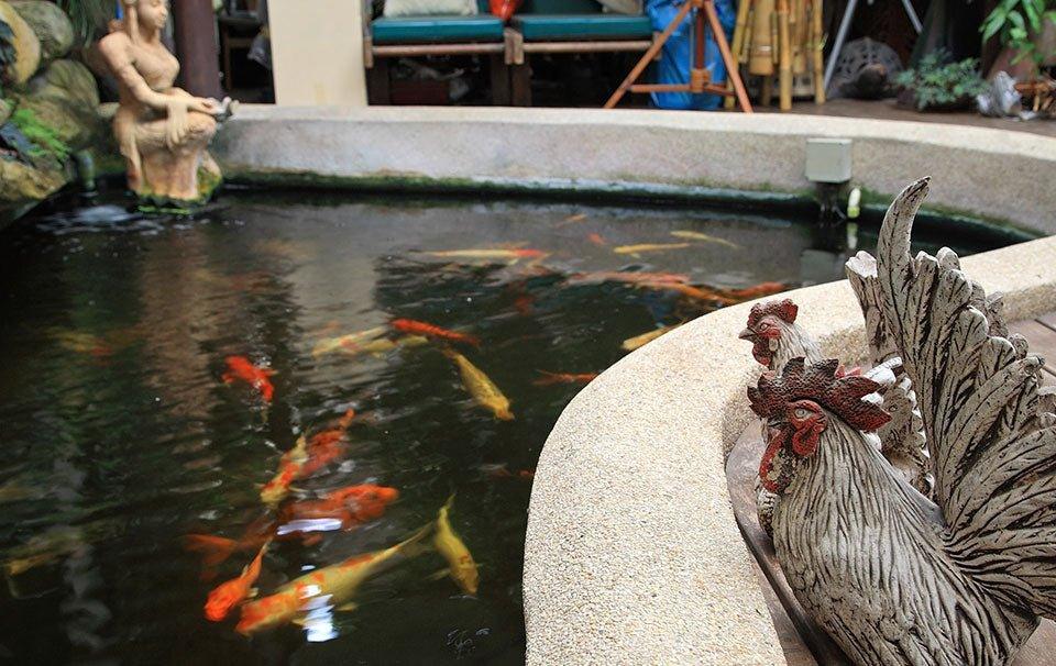 Pondkeeping Frequently Asked Questions - AllPondSolutions