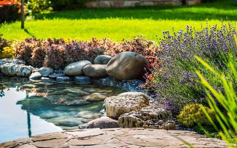 Seasonal Pond Tips - AllPondSolutions