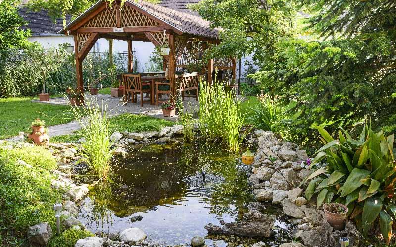 Seasonal Tips for February / March Pond Keepers - AllPondSolutions