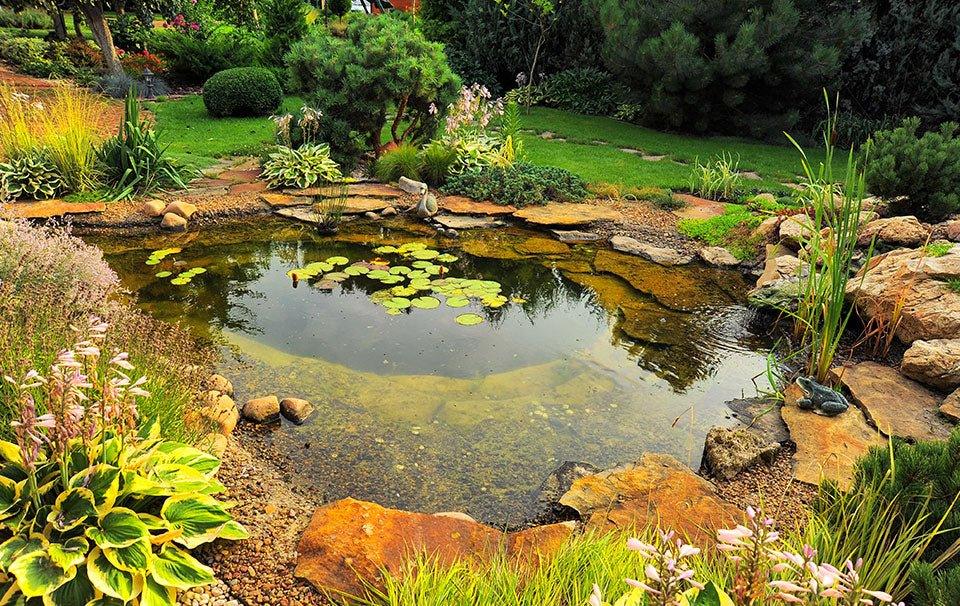 What is Pond Sludge and How Can I Control it? - AllPondSolutions