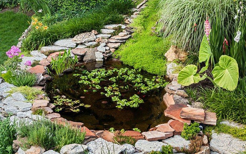 When is the Best Time to Clean a Pond? - AllPondSolutions