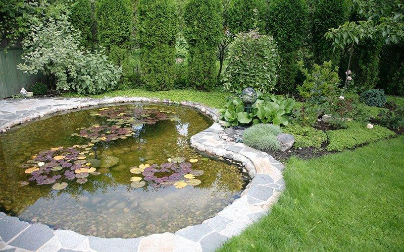 Where Can I Buy Pond Plant Baskets? - AllPondSolutions