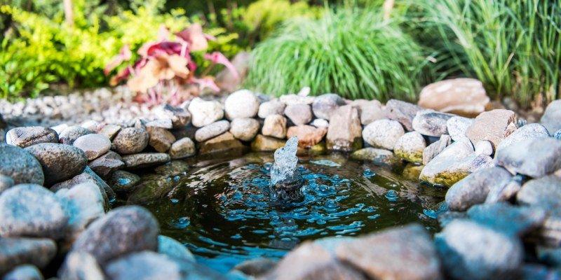 Where is the Best Place to Put a Small Pond in a Garden? - AllPondSolutions
