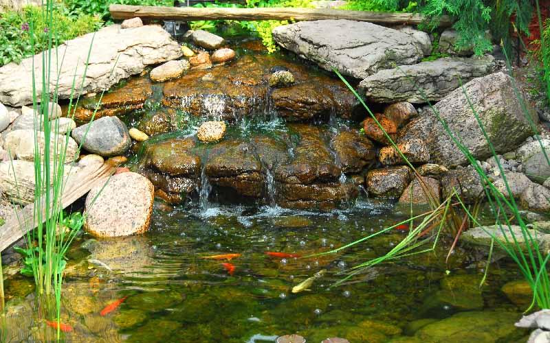 Why Add a Water Feature in the Garden? - AllPondSolutions