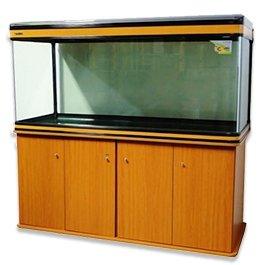 5ft Fish Tanks and Above - AllPondSolutions