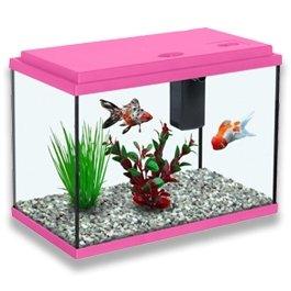 Kids Fish Tanks - AllPondSolutions