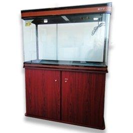 Tropical Fish Tank Aquariums - AllPondSolutions