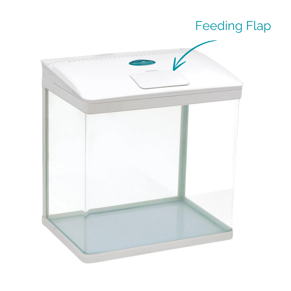 きゅうりNANO ACQUA 2点セット Ziss Aqua GL-1T グッピー プラティー 産卵 孵化 隔離ボックス