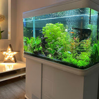 250L Cabinet Fish Tank (107cm 3.6ft) 2 Colours - AllPondSolutions