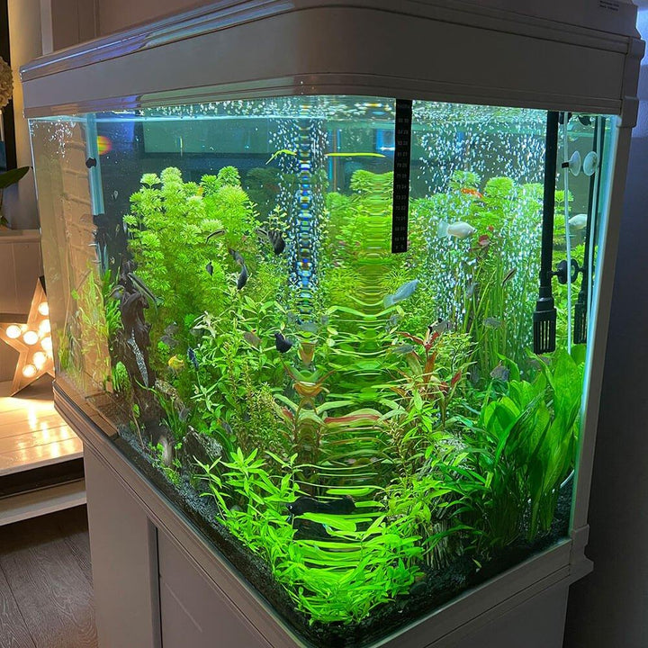 250L Cabinet Fish Tank (107cm 3.6ft) 2 Colours - AllPondSolutions