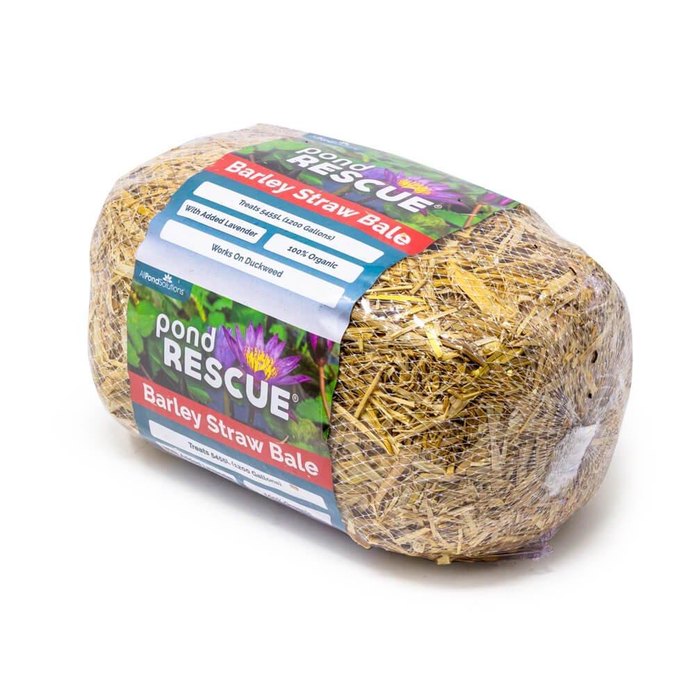 AllPondSolutions Pond Rescue barley straw bale
