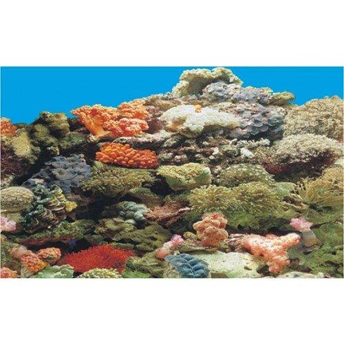 Aquarium Tank Marine Reef Background Multiple Lengths - AllPondSolutions