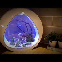 Nano Curve Acrylic Fish tank 13.5L - 3 Colours - AllPondSolutions