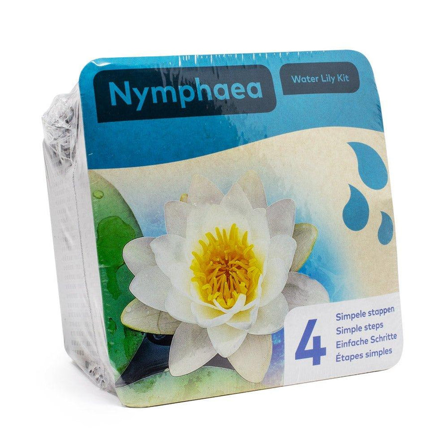 White Water Lily Pond Plant Kit - Nymphaea Albida - AllPondSolutions